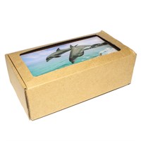 Купюрница со смолой Дельфины вид 5 с символикой Вашего города - фото 80605