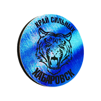 Значок синее сияние Хабаровск тигр круг 31264 - фото 85145