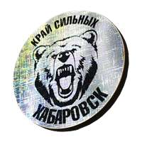 Значок сияние Хабаровск медведь круг 31270 - фото 85170