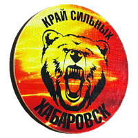 Значок сияние Хабаровск медведь круг 31271 - фото 85177