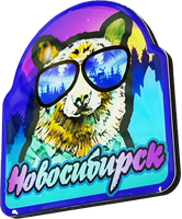 Магнитик смола медведь большие очки квадрат Новосибирск 31349 - фото 85861