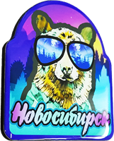 Магнитик смола медведь большие очки квадрат Новосибирск 31349 - фото 85862