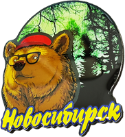 Магнитик смола круг медведь шапка очки лес Новосибирск 31348 - фото 85930