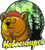 Магнитик смола круг медведь шапка очки лес Новосибирск 31348 - фото 85931