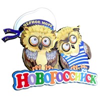 Магнит Совы с глазками Новороссийск 27419 - фото 86925