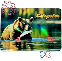 Картина на магните Медведь с рыбой Хабаровск 31809 - фото 87804