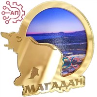 Магнит зеркальный с картинкой Медведь с кругом Магадан 31994 - фото 88793