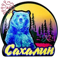 Магнит со смолой Медведь в круге Сахалин 29843 - фото 89606