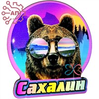Магнит со смолой Медведь в очках в круге Сахалин 29846 - фото 89615