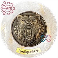 Тарелка сувенирная с 3D вставкой из гипса Медведь Хабаровск 32211 - фото 89928