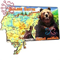 Магнит II Прямоугольник Медведь с картой Дальний Восток FS007208 - фото 89939