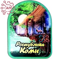 Магнит со смолой Медведь лес Республика Коми, Сыктывкар 32776 32776 - фото 91904