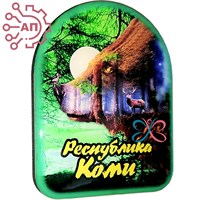 Магнит со смолой Медведь лес Республика Коми, Сыктывкар 32776 32776 - фото 91905