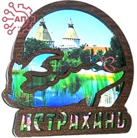 Магнит II контурный Осетр в круге Астрахань 26764 26764 - фото 92289