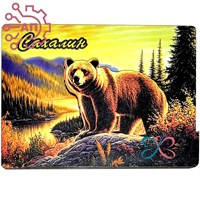 Магнит II серия "Животные России" Медведь 3 Сахалин 33847 33847 - фото 94730
