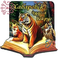 Магнит II "Чудеса вокруг" Тигр, лиса, сова и книга Хабаровск 33984 33984 - фото 95050
