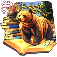 Магнит II "Край чудес" Медведь и книга Хабаровск 33985 33985 - фото 95053