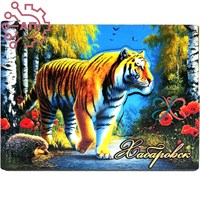 Магнит II серия "Животные России" Тигр 2 Хабаровск 33994 33994 - фото 95071