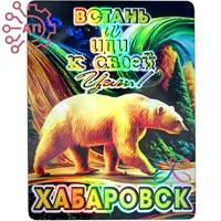 Магнит I голограмма Стикер "Иди к своей цели" Медведь Хабаровск 34071 34071 - фото 95734