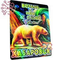Магнит I голограмма Стикер "Иди к своей цели" Медведь Хабаровск 34071 34071 - фото 95735