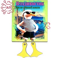 Магнит I с подвесами Чайка Иди по светлой полосе Владивосток 34136 34136 - фото 95969