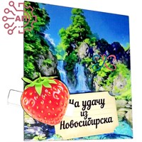 Магнит I с прищепкой Достопримечательности с ягодами Новосибирск 34147 34147 - фото 96016