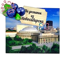 Магнит I с прищепкой Достопримечательности с ягодами Новосибирск 34147 34147 - фото 96022