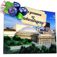 Магнит I с прищепкой Достопримечательности с ягодами Новосибирск 34147 34147 - фото 96023