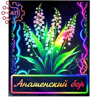 Магнит I Неон Прямоугольник Ландыш Красноярск, Анашенский бор 34158 34158 - фото 96050