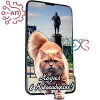 Магнит II Экран вертикальный с рыжим котом Новосибирск 34189 34189 - фото 96147
