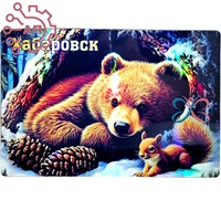 Картина на магните Медвежонок с белкой Хабаровск 34356 34356 - фото 96595