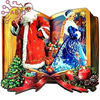 Магнит II Книга с Дедом Морозом и Снегурочкой Великий Устюг 34497 34497 - фото 96805