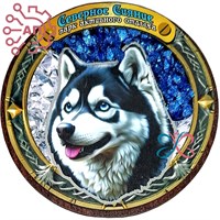 Магнит II с хрусталем Круг Хаски Северное сияние Мурманск 34545 34545 - фото 96905 Магнит II с хрусталем Круг Хаски Северное сияние Мурманск 34545 34545 - фото 96905