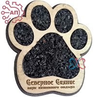 Магнит с кристаллами Лапа собаки Северное сияние, Мурманск 34581 34581