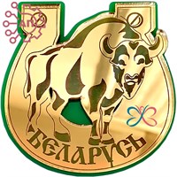 Магнит II зеркальный на пластике Подкова с зубром Беларусь FS002693 FS002693