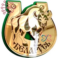 Магнит II зеркальный на пластике Подкова с зубром Беларусь FS002693 FS002693