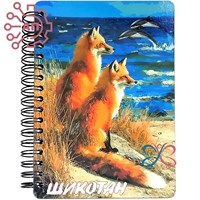 Блокнот А6 цветной Лисы Шикотан 34662 34662