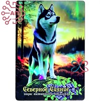 Магнит I голограмма Хаски Северное сияние Мурманск 34670 34670