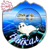 Магнит III с закрытой фурнитурой Нерпа на льдине Байкал, Иркутск 34687 34687