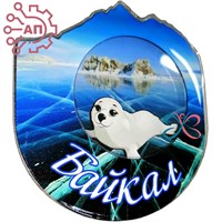 Магнит III с закрытой фурнитурой Нерпа на льдине Байкал, Иркутск 34687 34687