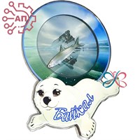 Магнит III с закрытой фурнитурой Нерпа в круге Байкал, Иркутск 34689 34689