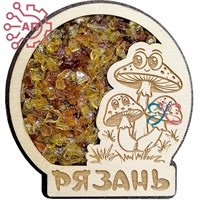 Магнит с минералами Грибы Рязань 34718 34718