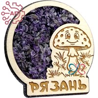 Магнит с аметистом с гравировкой Мухомор Рязань 34719 34719