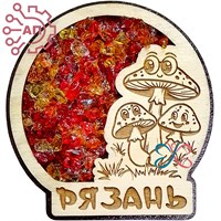 Магнит с хрусталем с гравировкой Грибы Рязань 34721 34721