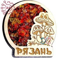 Магнит с хрусталем с гравировкой Грибы Рязань 34721 34721