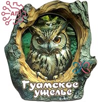 Магнит II Кора с совой Гуамка, Краснодарский край 34765 34765