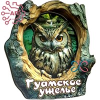 Магнит II Кора с совой Гуамка, Краснодарский край 34765 34765