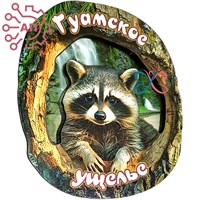 Магнит II Кора с енотом Гуамское ущелье, Краснодарский край 34778 34778