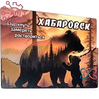 Магнит II Медведица с медвежонком Хабаровск 34825 34825