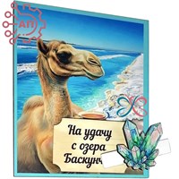 Магнит I с прищепкой Верблюд с кристаллами Баскунчак 34853 34853
